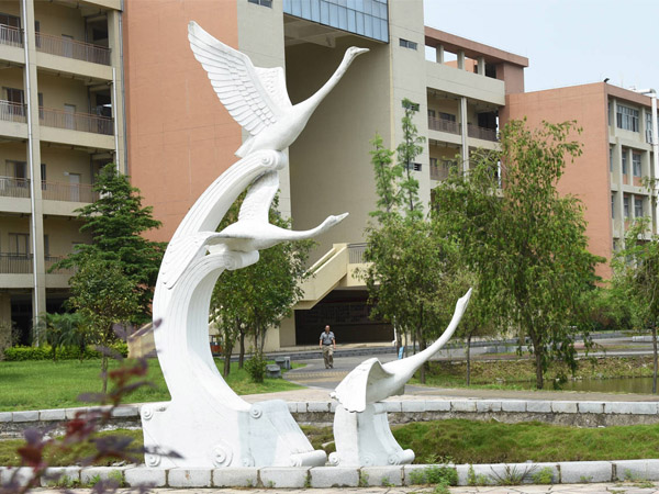 F(xin)ڴ(sh)˂ϲgP䓵߀ǾP䓵ܣ